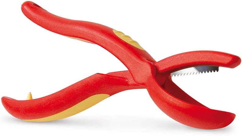 Snips Cortacastañas 19,5 x 3 cm, Mango Antideslizante, Made in Italy