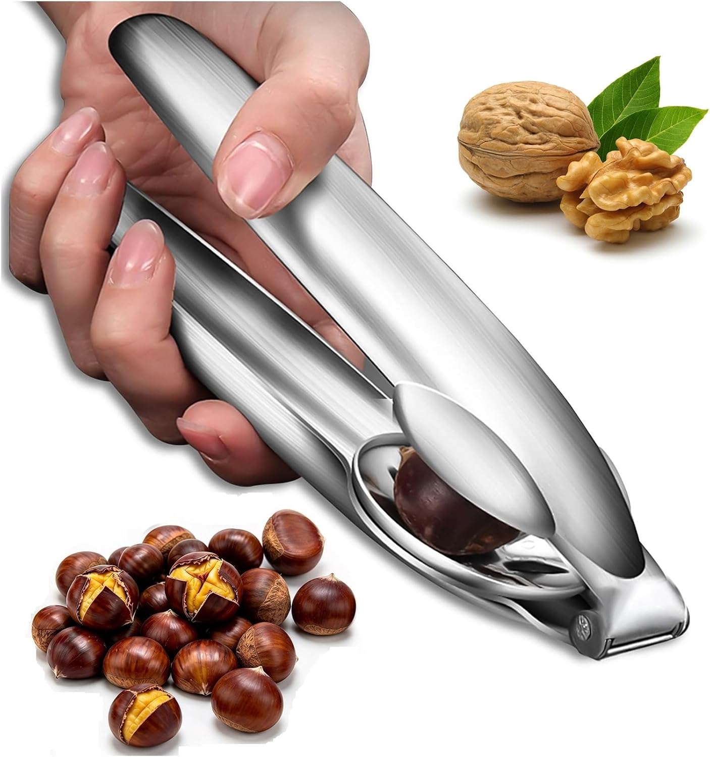 Juego de 2 cortadores de marrones de acero inoxidable para castañas, maronis, nueces y avellanas – Pinza para maronis