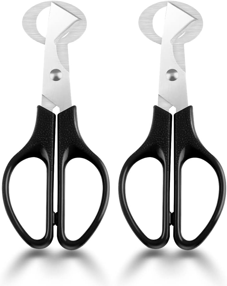 Tijeras Huevos Codorniz, Tijeras de Corte de Cáscara de Huevo de Acero Inoxidable, Utensilios de Cocina Abridor para Hogar Codorniz Huevos Tijeras Huevo Cortador