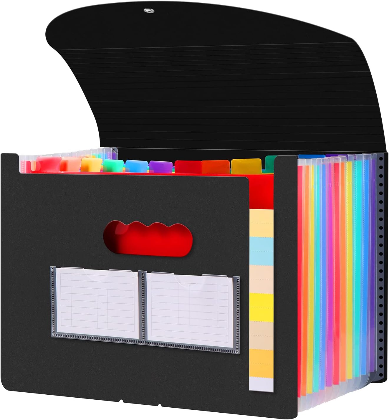 Diboniur Carpeta Acordeón A4 Carpeta Clasificadora, Expandible Archivos Organizador de 12 Bolsillos, Portátil Carpeta Separadores Documentos Archivadores para Oficina Escuela (Negro)