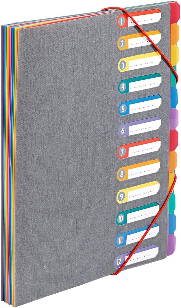 Viquel - Clasificador de documentos A4 con 12 compartimentos - Organizador de escritorio extensible - Portadocumento A4 con índice - Cierre elástico - Rainbow Touch Gris
