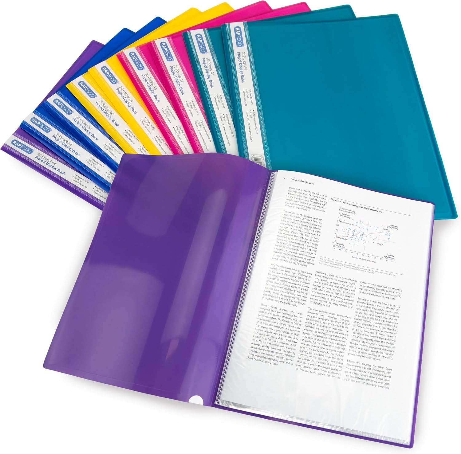 Rapesco 0919 Carpeta 20 Fundas, A4, Colores Surtidos, 10 Unidades
